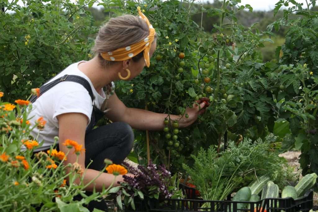 Simone Watts head chef at Barragunda Mornington