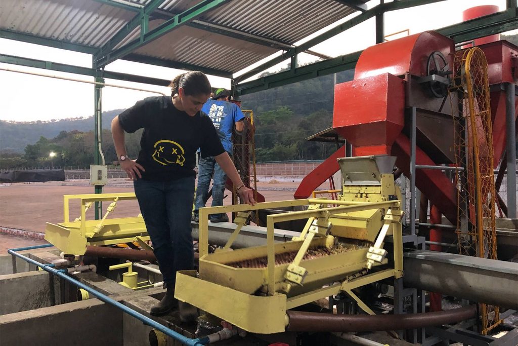 Coffee machine for processing coffee beans