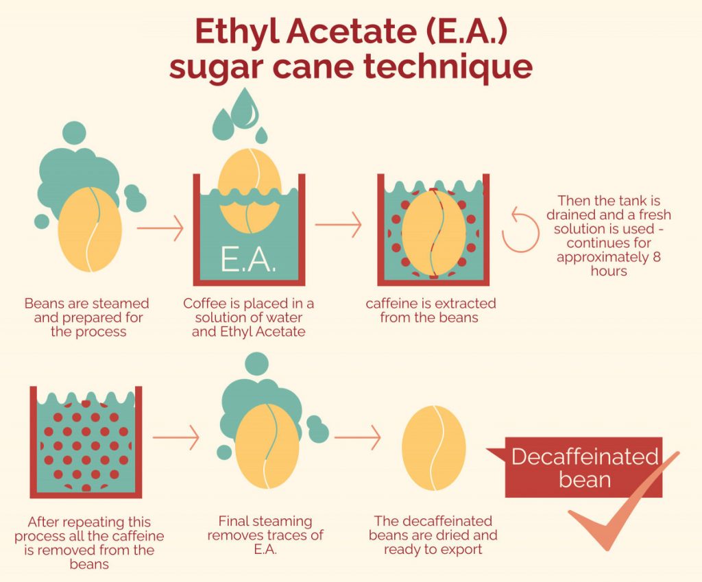 Decaf process diagram for ethyl acetate method