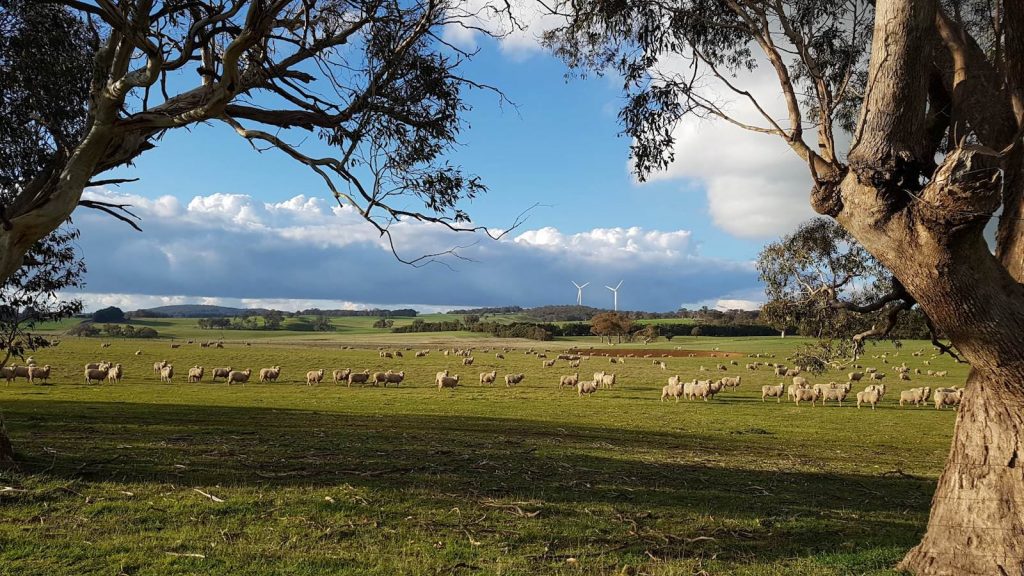 Farmland utilising renewable energy as part of regenerative agriculture principles