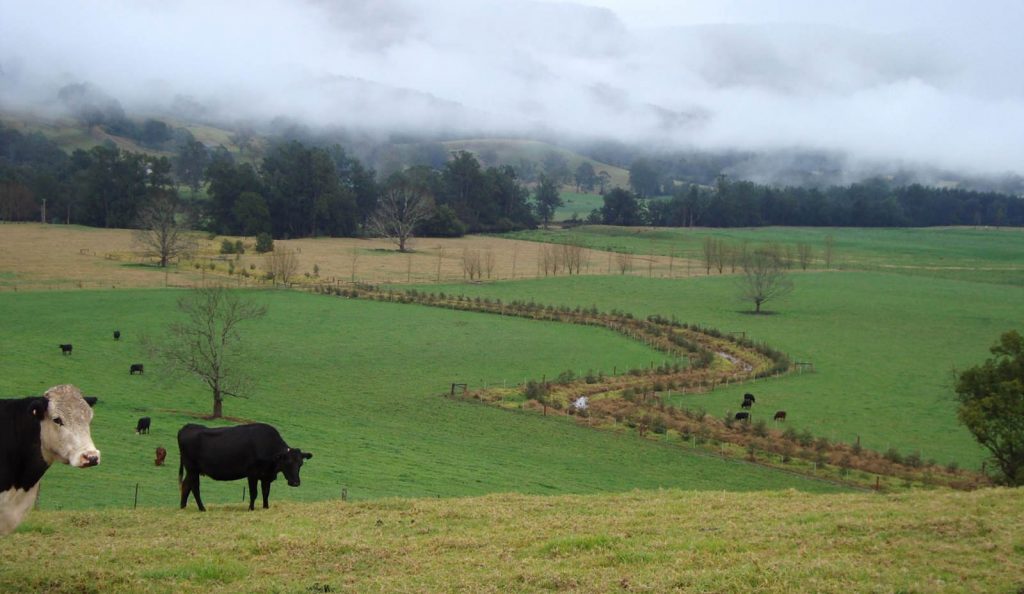 Reduced soil erosion, healthier livestock, increased biodiversity, complex soil structure as a result of regenerative managed land