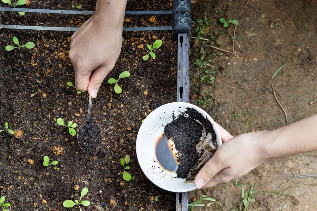 Sprinkle the grounds around garden borders or specific plants to deter crawlers and garden pests from crossing