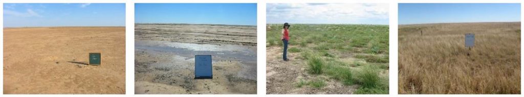 Transitioning bare soil to healthy grazing pastures