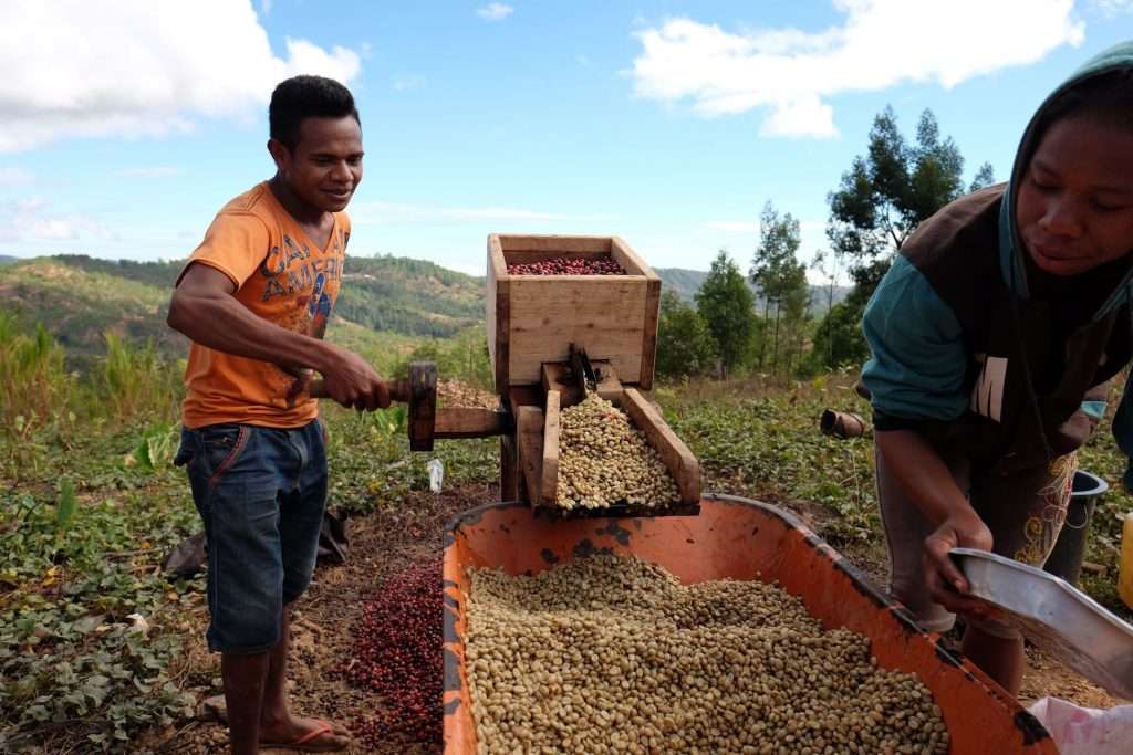 Pulping coffee cherries to remove fruit