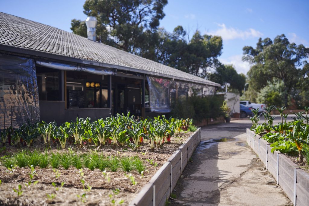 Canberra cafe growing its own food