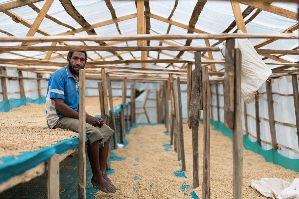 Coffee farmer drying washed process beans